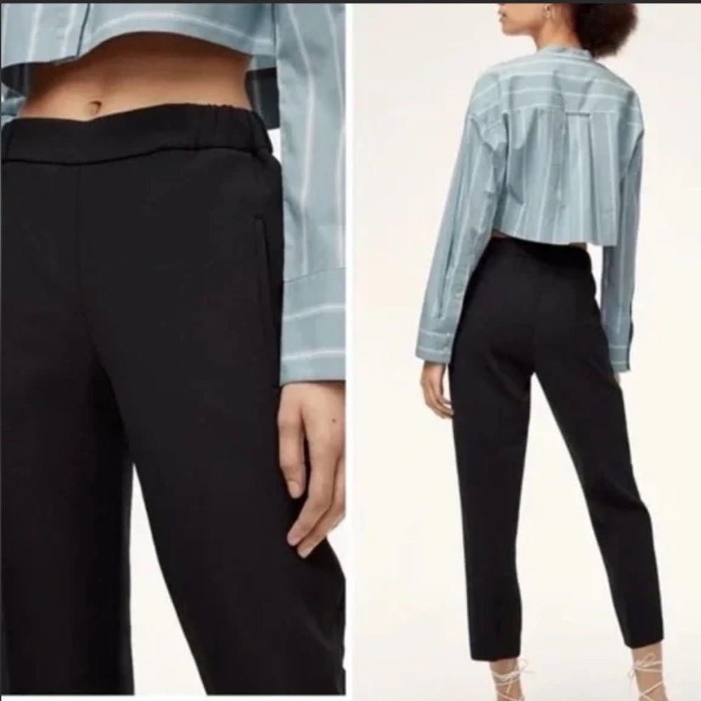 NWOT Wilfred Aritzia Darontal pants
